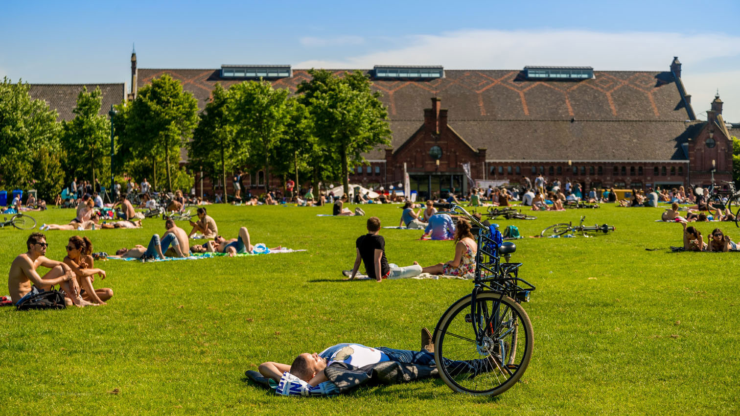 Zomer in het Westerpark